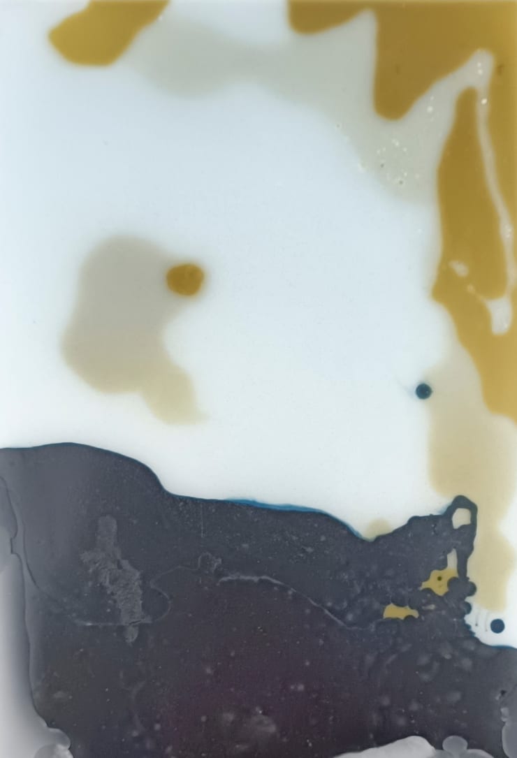 Laura Salguero, 007/800/002, 2021