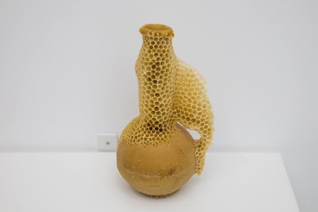 Laura Salguero, Oikos 12, 2021