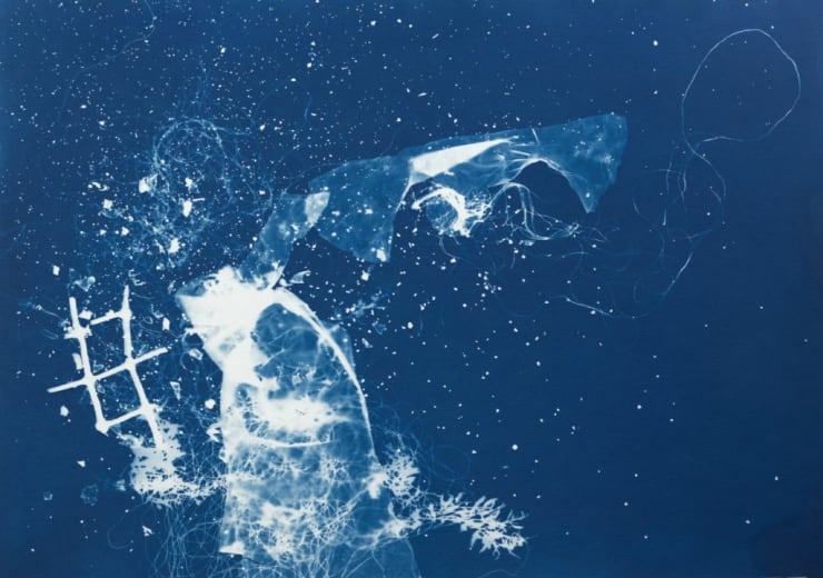 César Schofield Cardoso, Alga C #4, 2023