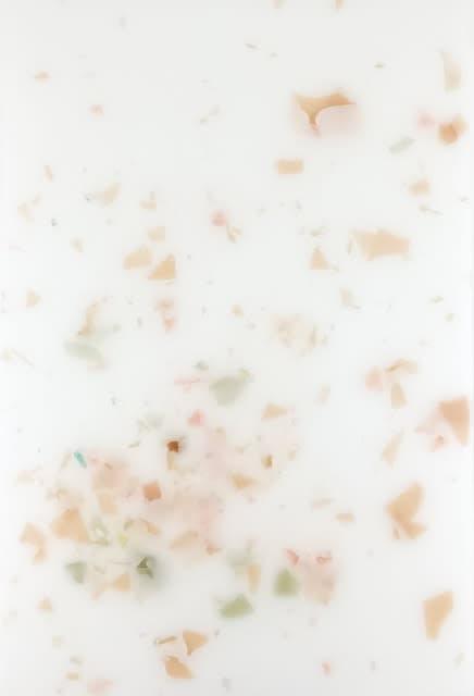 Laura Salguero, 007/800/004, 2021