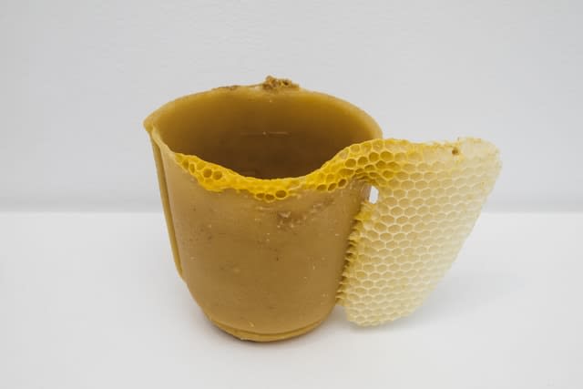 Laura Salguero, Oikos 19, 2021