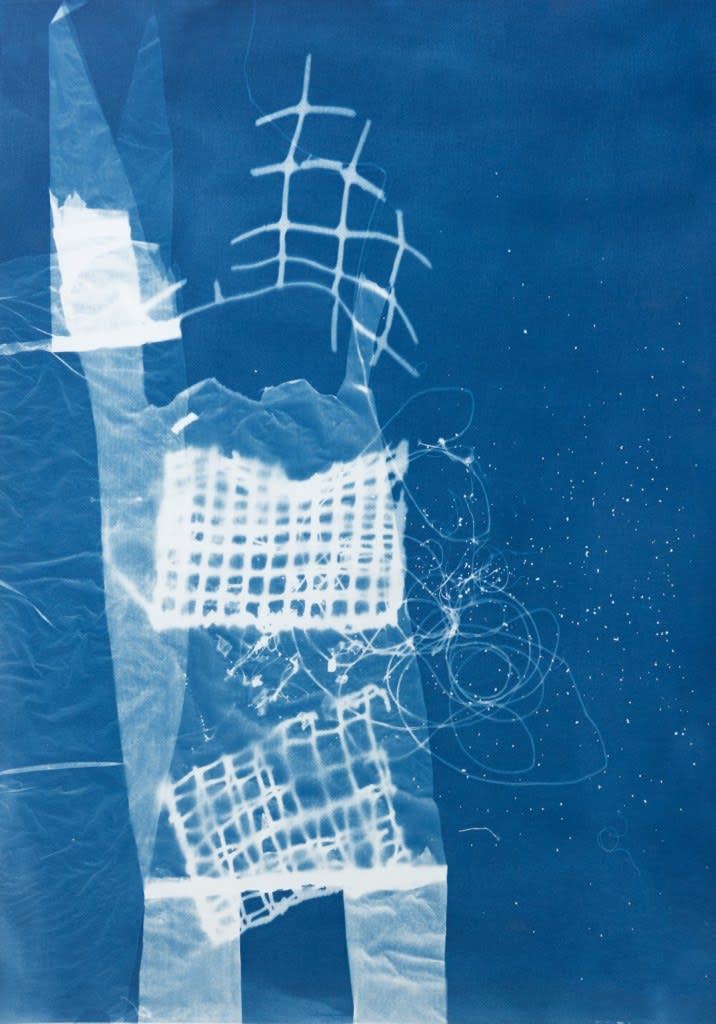 César Schofield Cardoso, Alga C #7, 2023