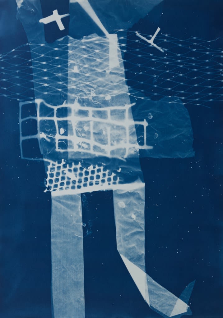 César Schofield Cardoso, Alga C #11, 2023