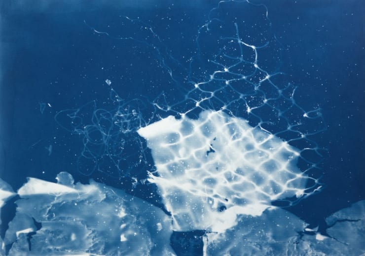 César Schofield Cardoso, Alga C #5, 2023