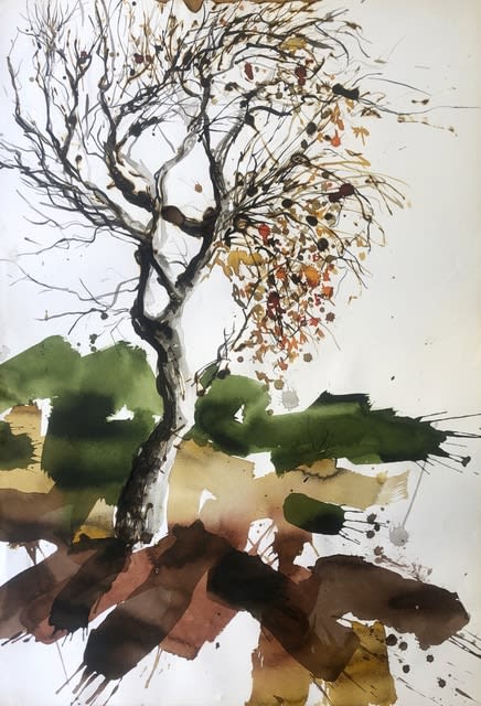 Juan Pedro Ayala, Árbol #1, 2006