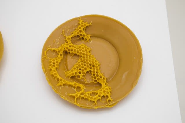 Laura Salguero, Oikos 1 , 2021