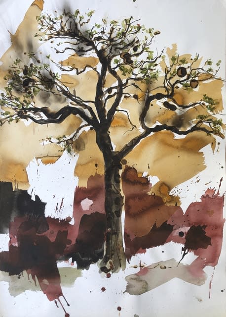 Juan Pedro Ayala, Árbol 1, 2006