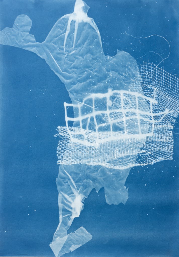 César Schofield Cardoso, Alga C #8, 2023