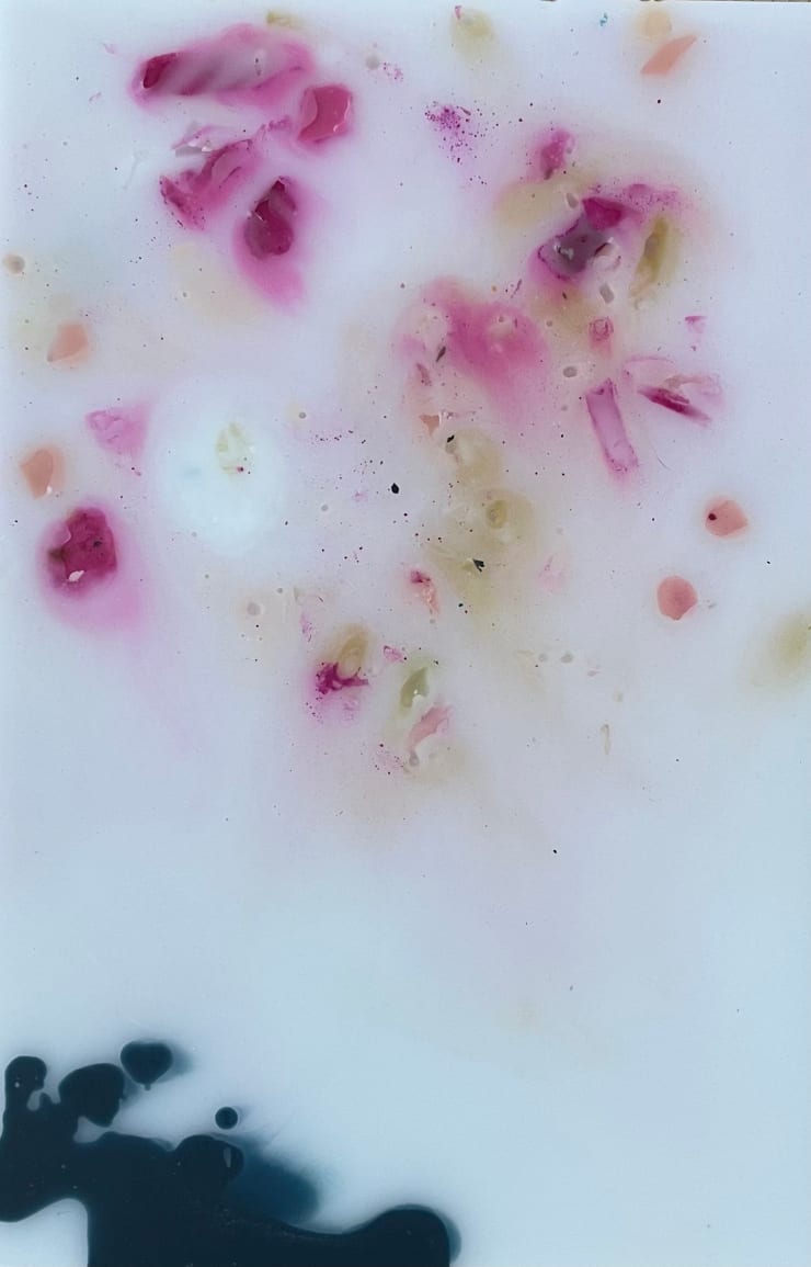 Laura Salguero, 007-800-001, 2021