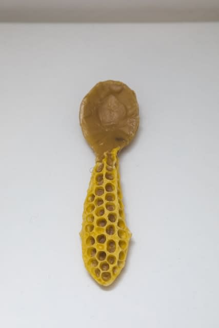 Laura Salguero, Oikos 9, 2021