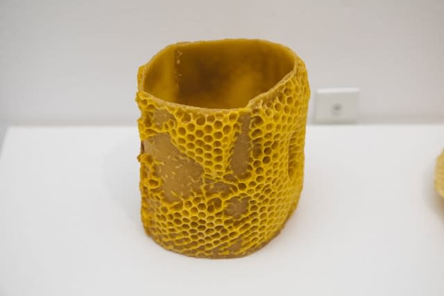 Laura Salguero, Oikos 18, 2021