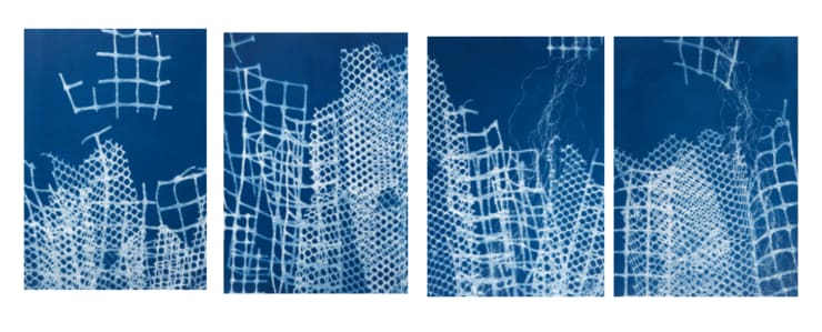 César Schofield Cardoso, Alga Set 1, 2023