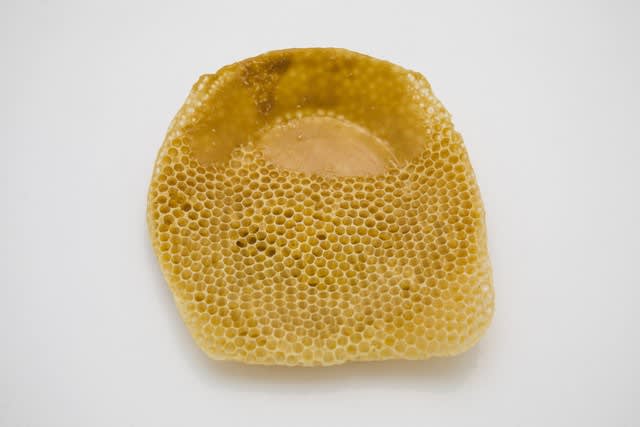 Laura Salguero, Oikos 2, 2021