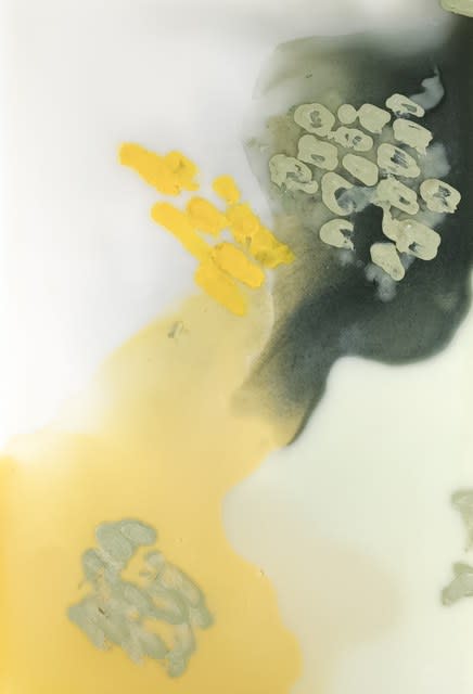 Laura Salguero, 007/800/013, 2021