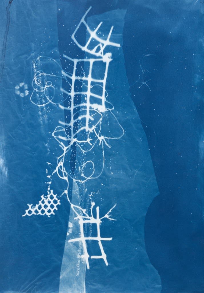 César Schofield Cardoso, Alga C #9, 2023