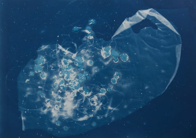 César Schofield Cardoso, Alga C #2, 2023