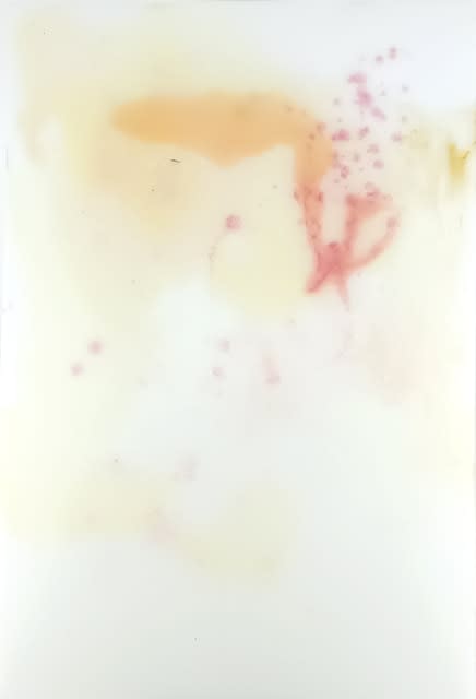 Laura Salguero, 007/800/009, 2021