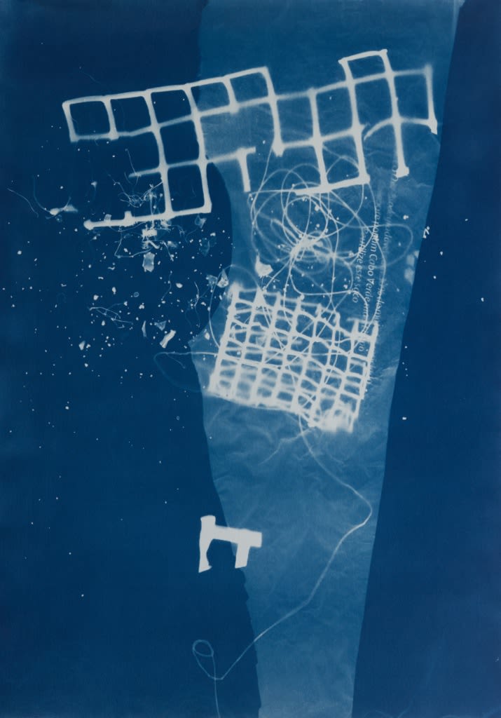 César Schofield Cardoso, Alga C #10, 2023