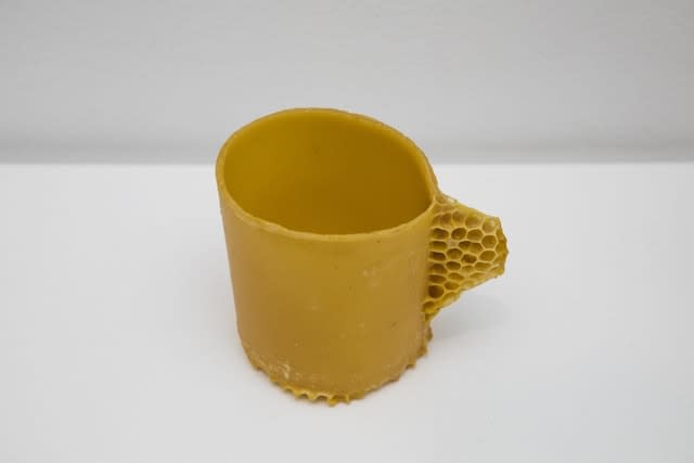 Laura Salguero, Oikos 21, 2021