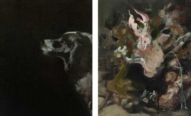 Julia Medyńska, A Dog's Dream, 2019