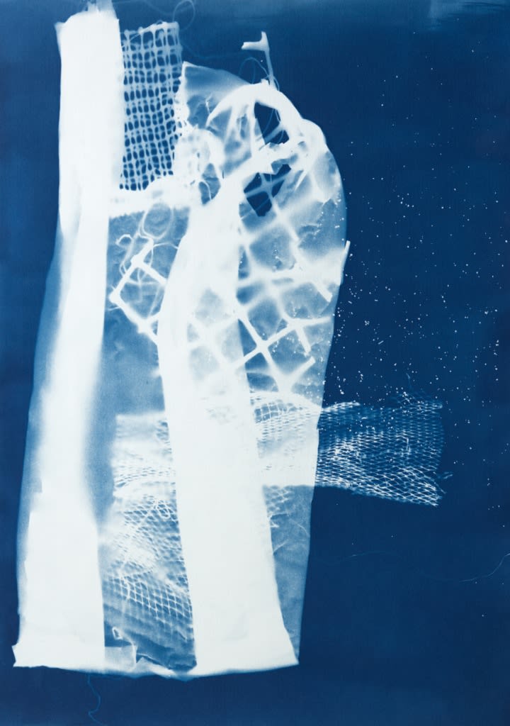 César Schofield Cardoso, Alga C #12, 2023