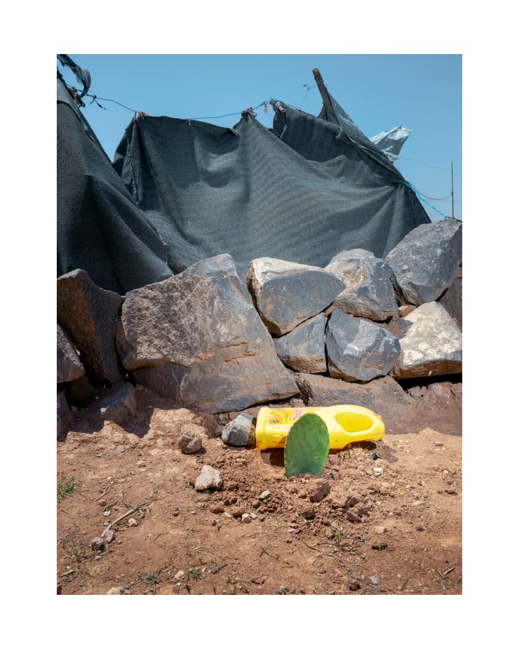 Henk Wildschut, Prickly Pear (Opuntia ficus Indica), Zaatari Camp Jordan — April 2018, 2018