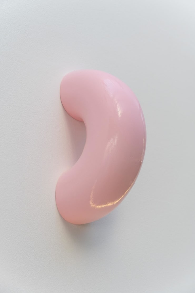 Cindy Bakker, Donut, 2022