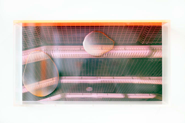 Marleen Sleeuwits, Ongoing Series of False Ceilings no. 26, 2025