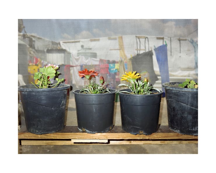 Henk Wildschut, Bar Elias, Beqaa, Lebanon — May 2017, 2017