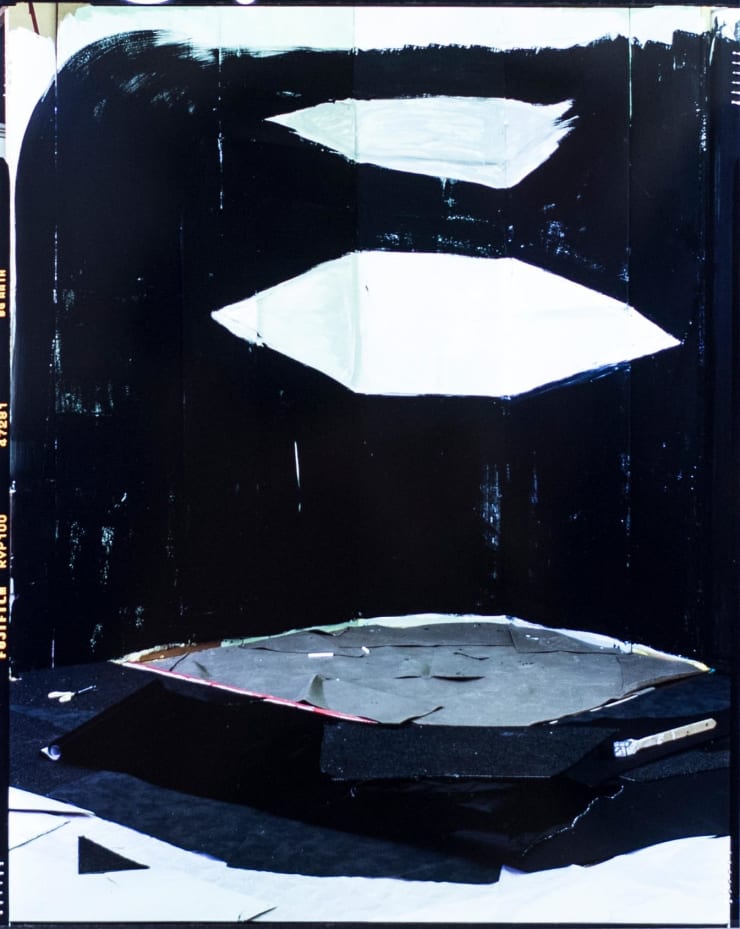 Femke Dekkers, Dia, negatief, 2013