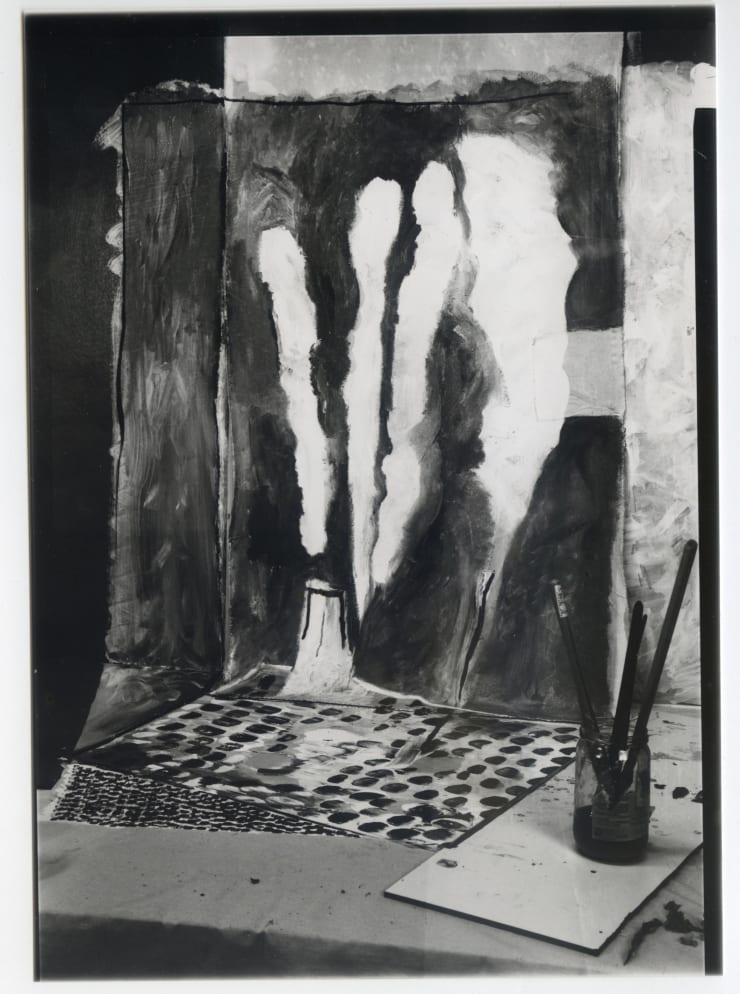 Femke Dekkers, After mullein, positive (brushes), 2021