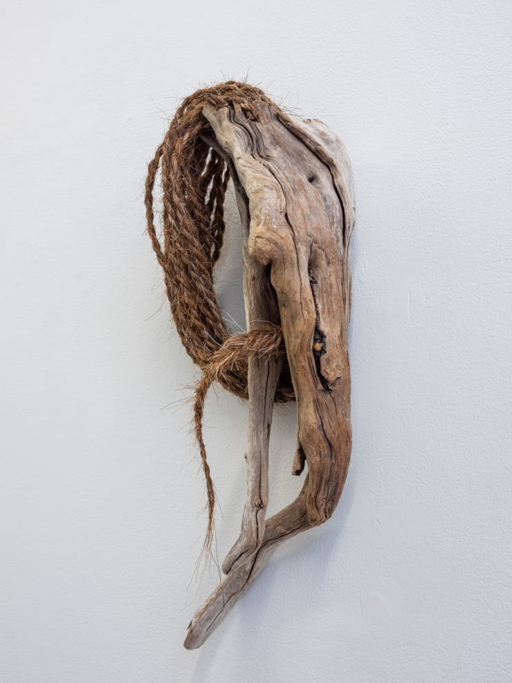 Nomin Zezegmaa, Shell, 2024