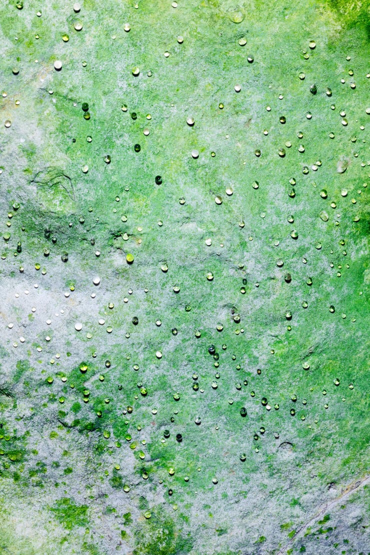 Marleen Sleeuwits, Rhotomagin no. 2, 2023