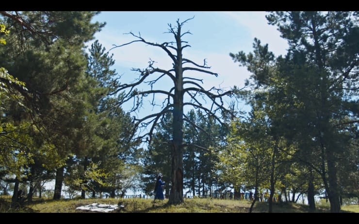 Nomin Zezegmaa, Whispers of Eej Mod, 2024