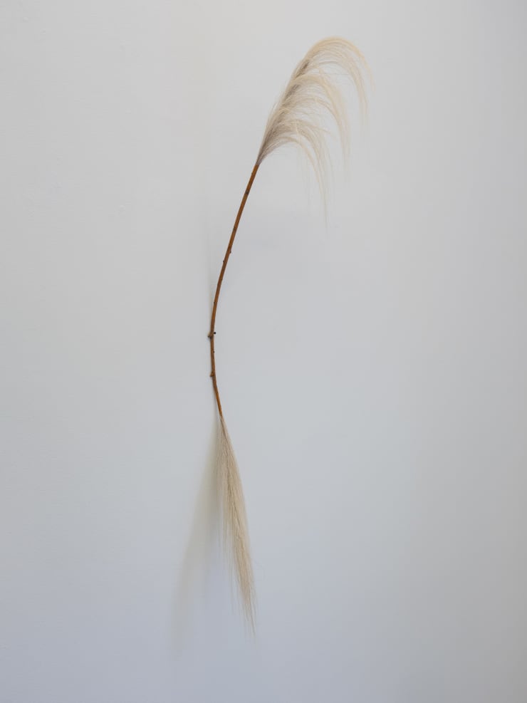 Nomin Zezegmaa, The Wind on the Other Side, 2024