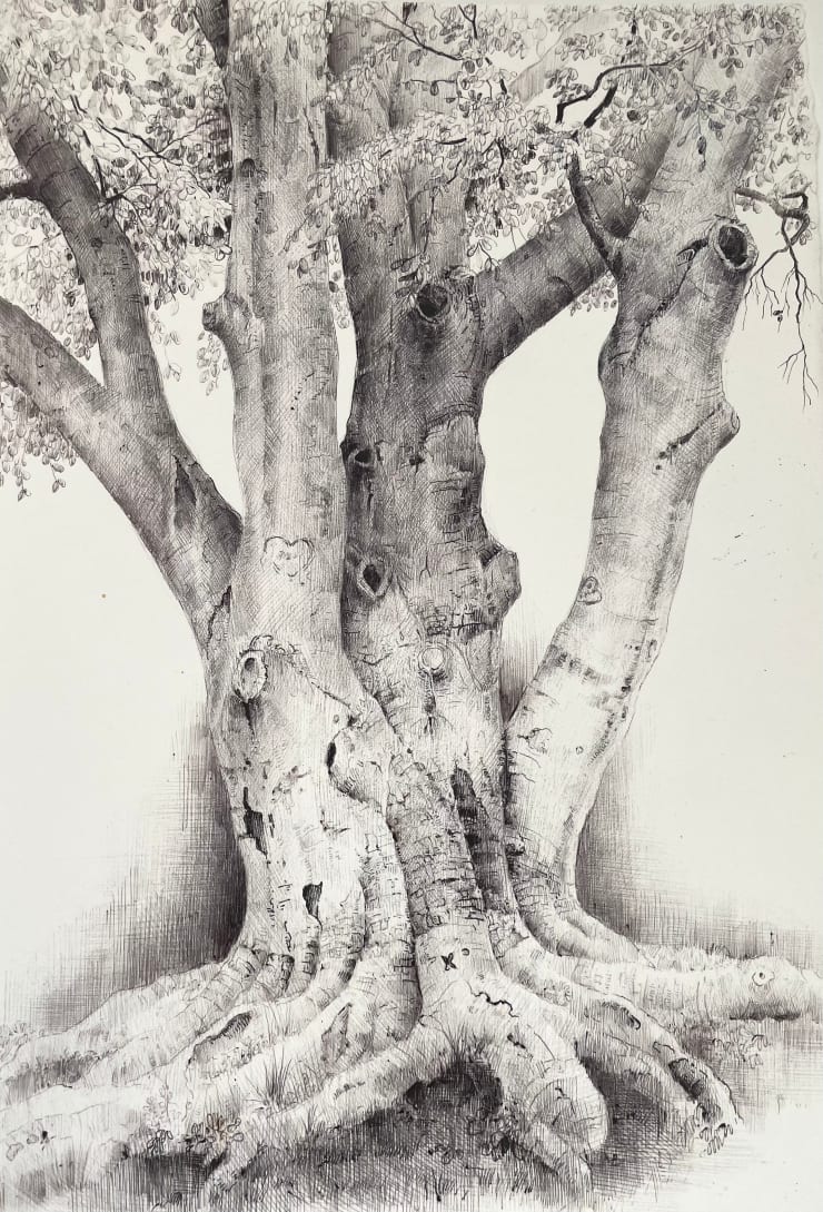 Dina Brodsky, The Overstory XVI, 2023