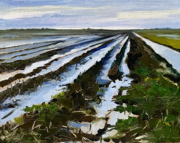 Philine van der Vegte, Winter Fields, 2023
