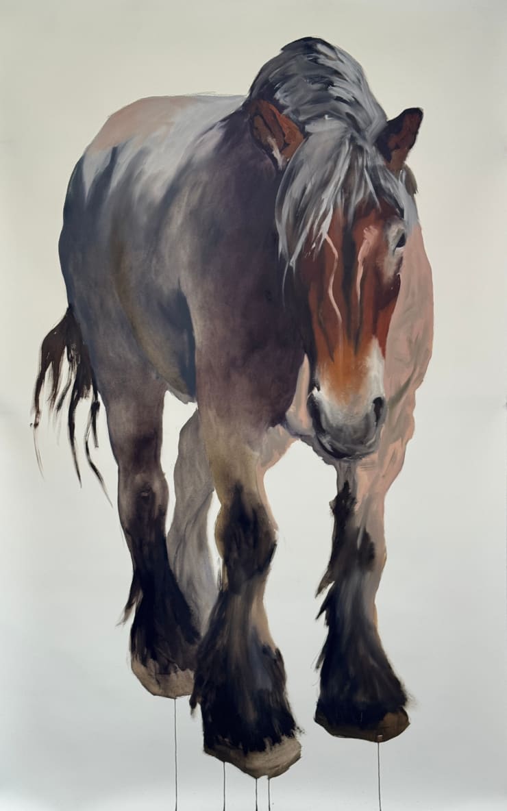 Philine van der Vegte, Poitou horse, 2025