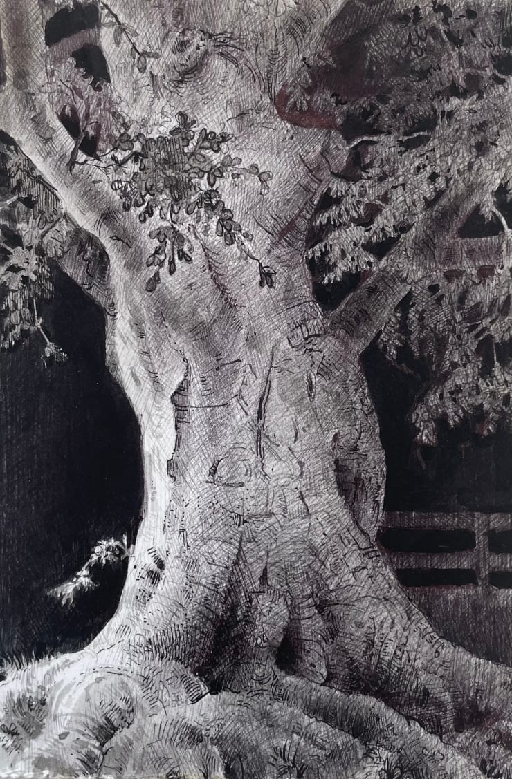 Dina Brodsky, The Overstory I, 2023