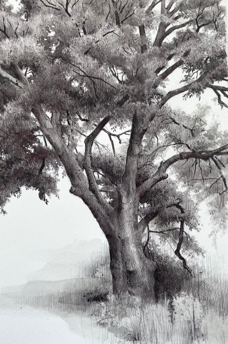 Dina Brodsky, The Overstory XI, 2024