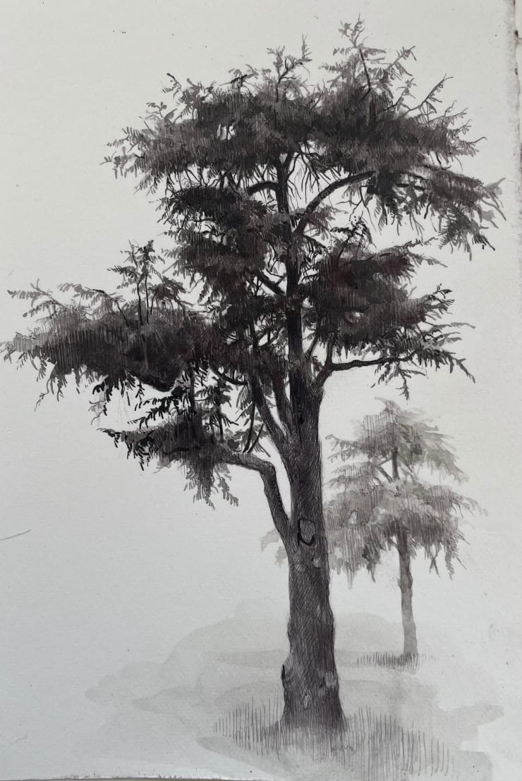 Dina Brodsky, The Overstory II , 2023