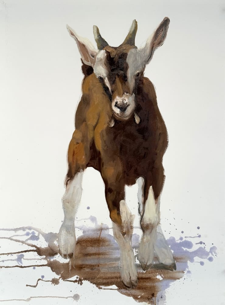 Philine van der Vegte, Toggenburg kid, 2025