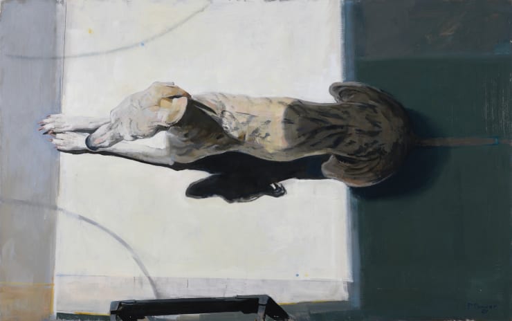 Pieter Pander - Hondje in zonlicht, 2024