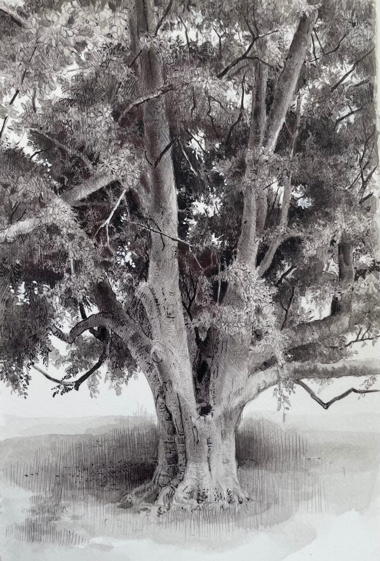 Dina Brodsky, The Overstory V, 2023