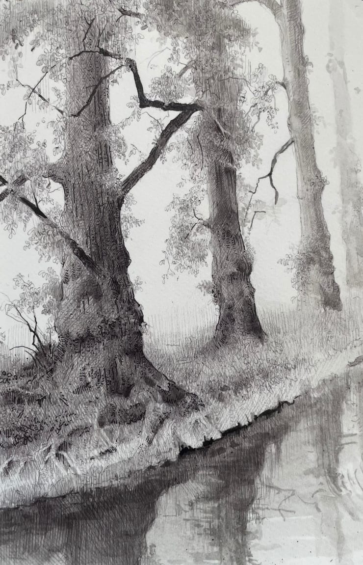 Dina Brodsky, The Overstory VIII, 2024