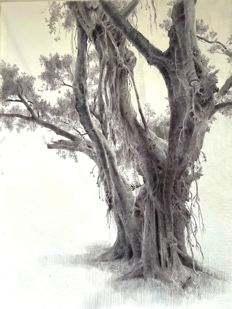 Dina Brodsky, The Overstory XVII, 2024