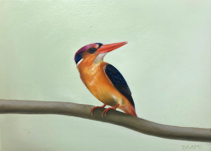 Judith Daams, Dwarf kingfisher, 2023