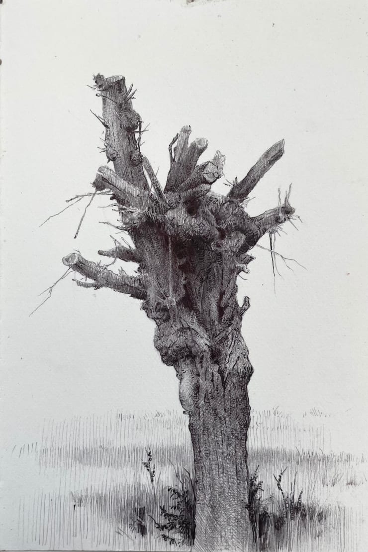 Dina Brodsky, The Overstory X, 2024