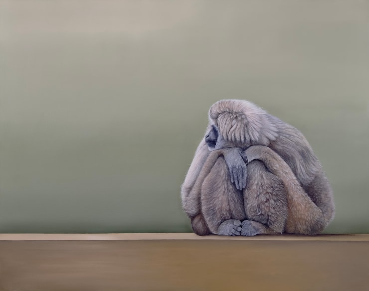 Judith Daams, White cheeked gibbon, 2023