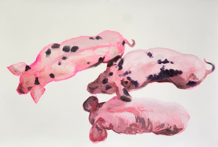 Philine van der Vegte, Three little pigs, 2025